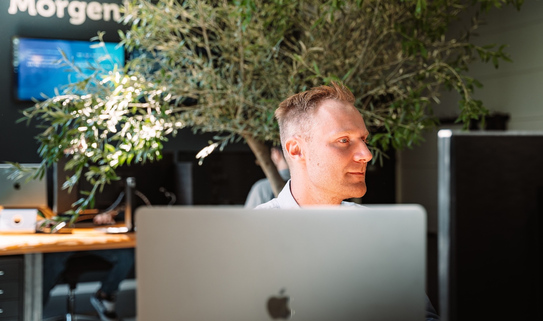 header_images_0_1747381976216678759.jpg